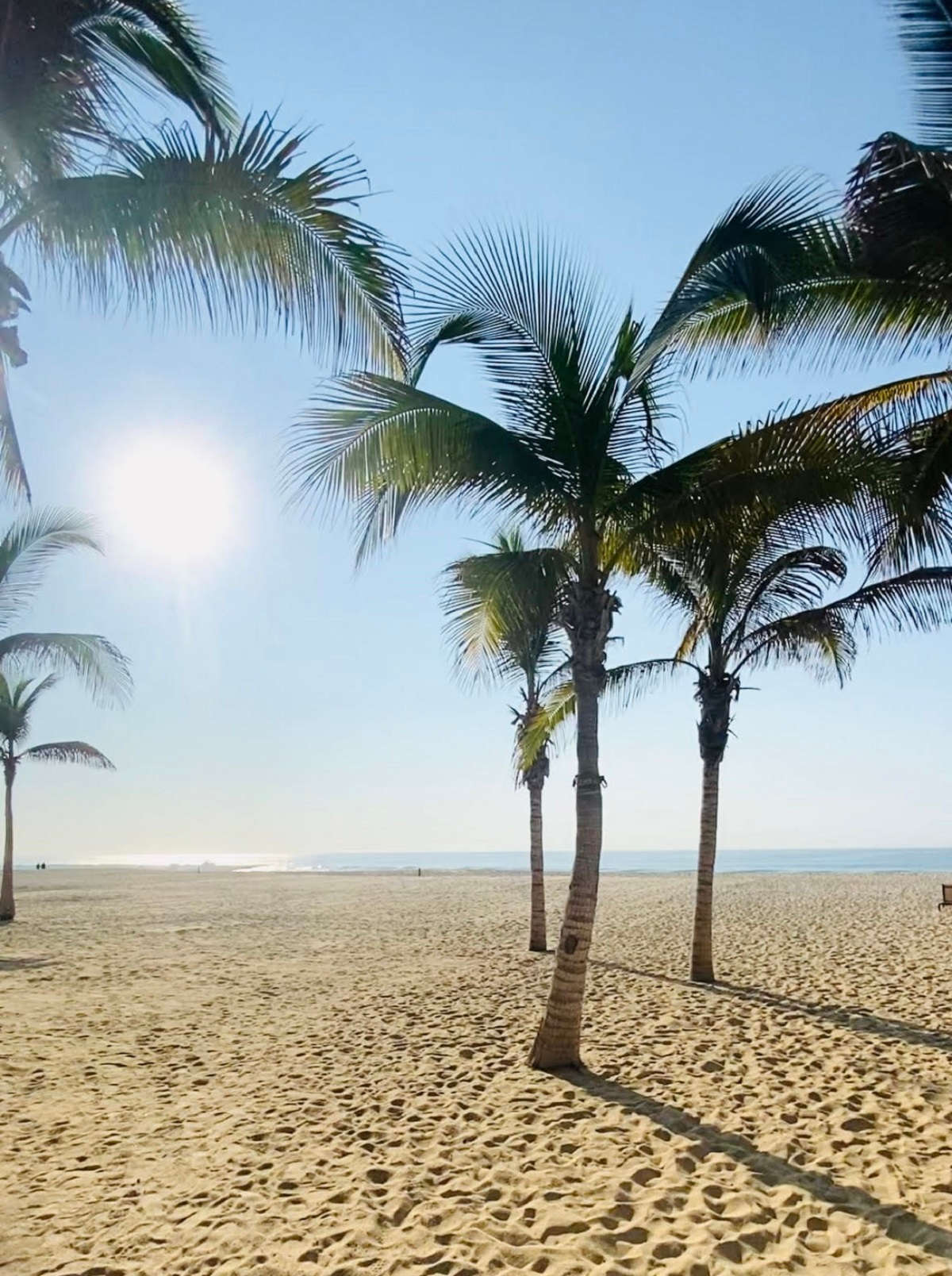sunny beach with white sand and palm trees.