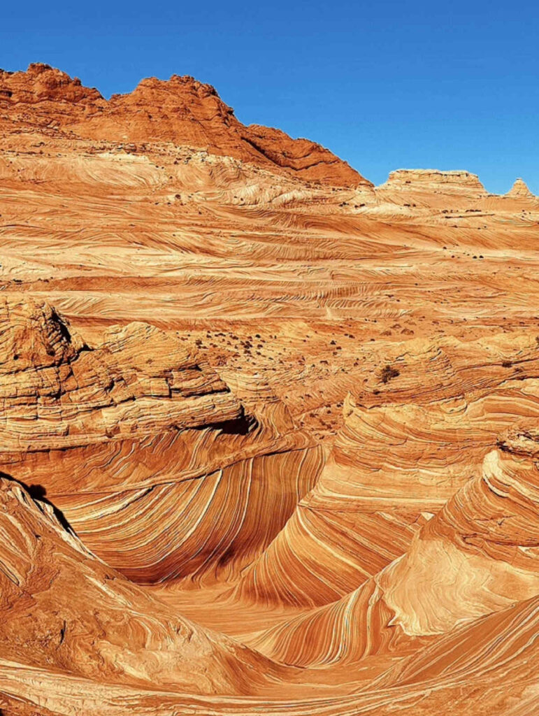 the lottery for the wave.